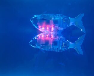 Robotske ribe koje "jedu" mikroplastiku će pomagati u čišćenju okeana